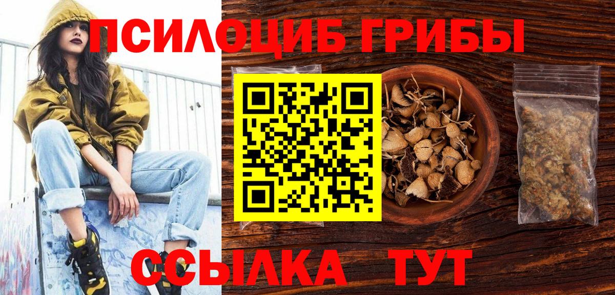 Псилоцибиновые грибы Psilocybe  Вход с VPN  Псилоцибиновые грибы мухоморы  Белово 