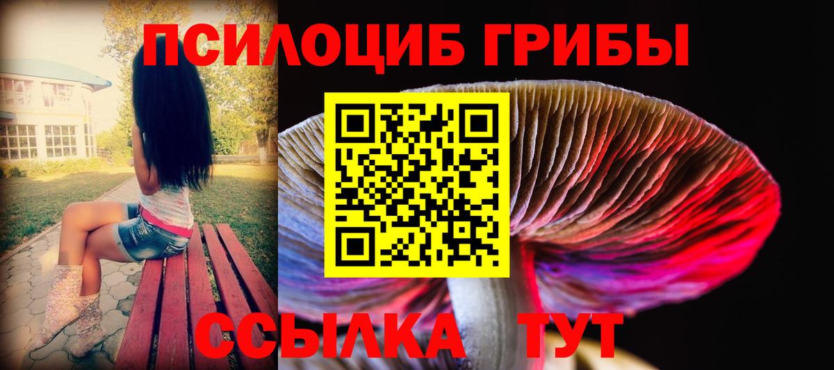 Галлюциногенные грибы Magic Shrooms Белово